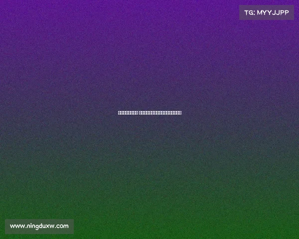 马术比赛精彩纷呈 骑士与骏马共谱速度与激情的完美篇章